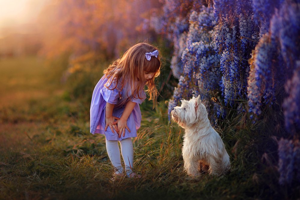 Photograph by Склярова Анастасия