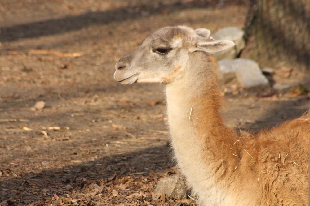 Фотография автора Андрій Майовець