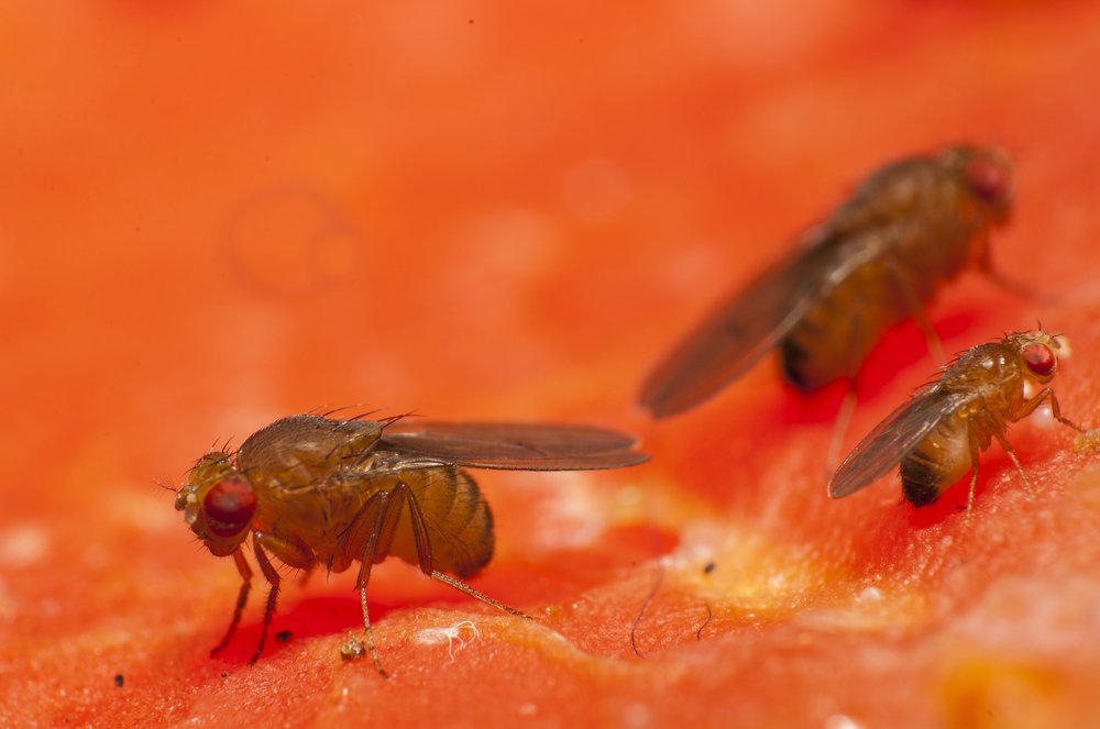 Photograph by Hector Cuestas Venegas