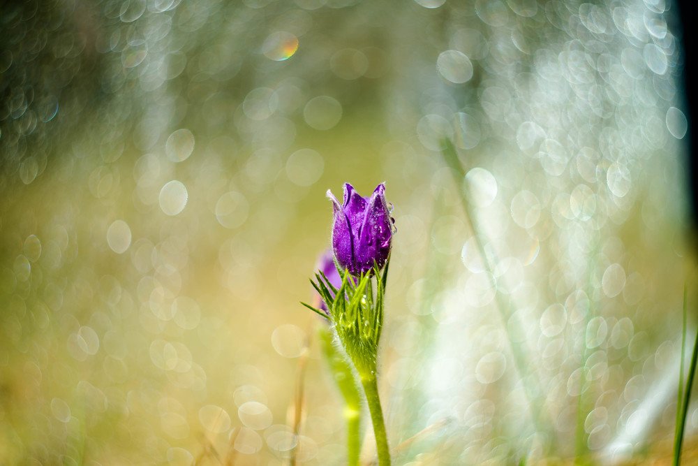 Photograph by Наталья Лещинская