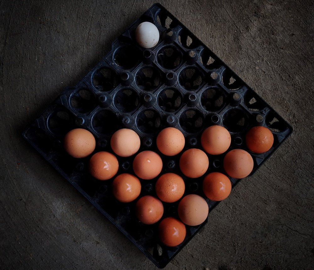 Photograph by Shahadat Hossain