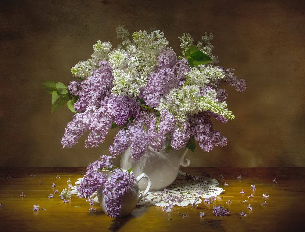 Photograph by 