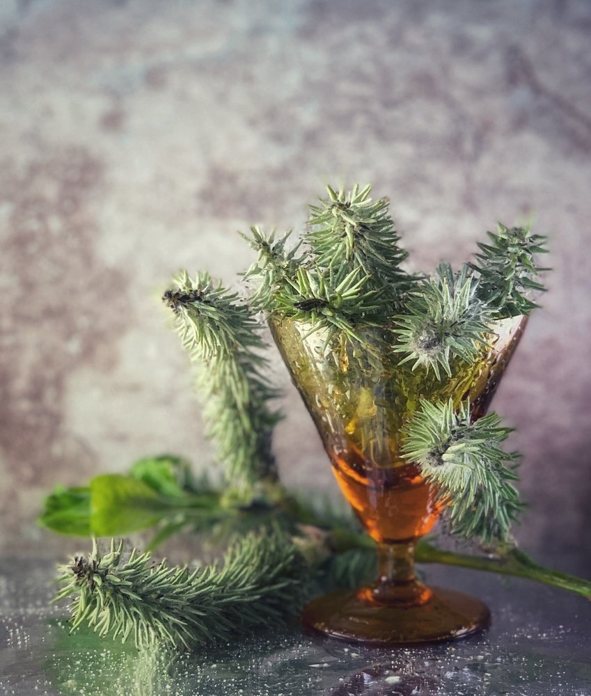 Photograph by T.Ю. Гринько