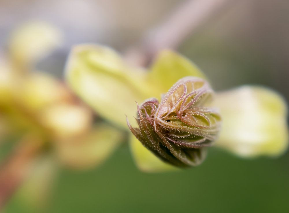 Photograph by Светлана Сякки