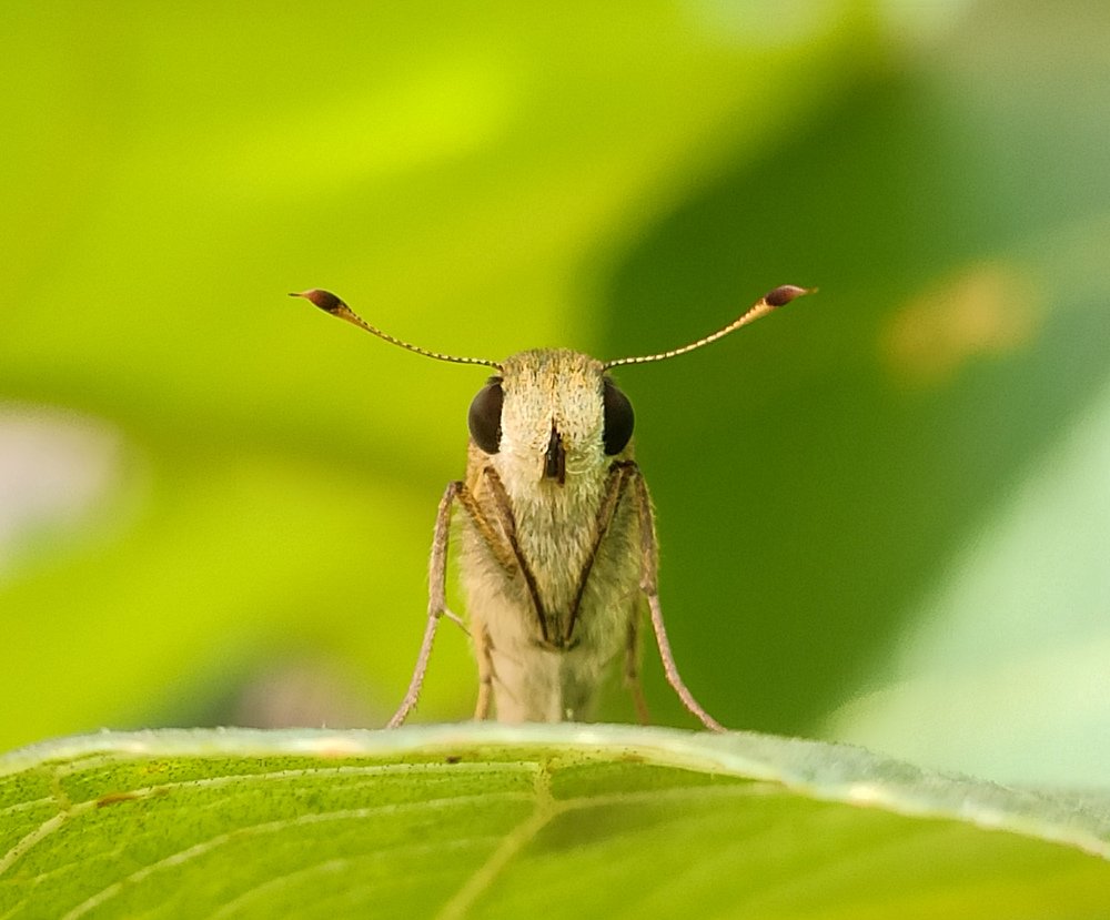 Photograph by Subhendu seth