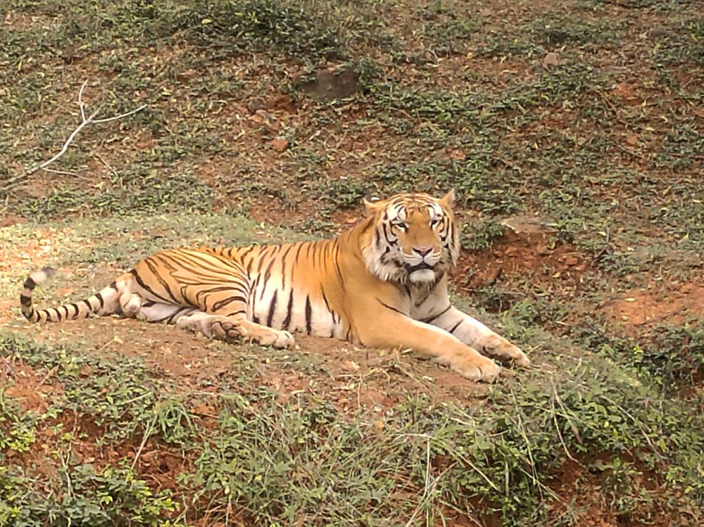 Photograph by Subhendu seth