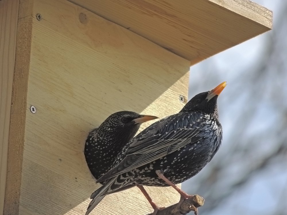 Photograph by Vladimir