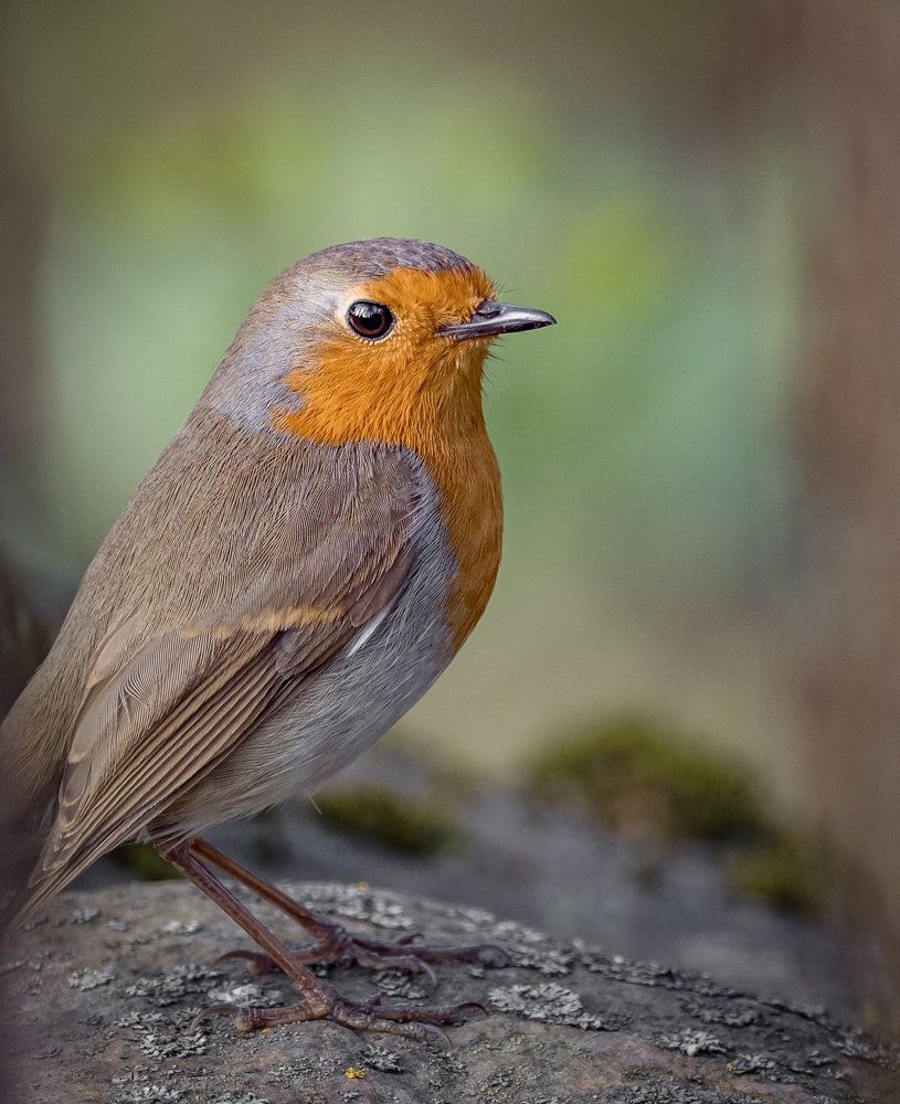 Photograph by Курлянцев Алексей
