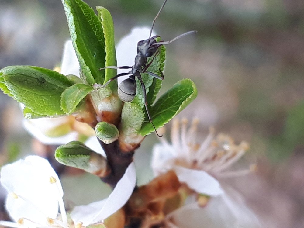 Photograph by Kristiina Soots