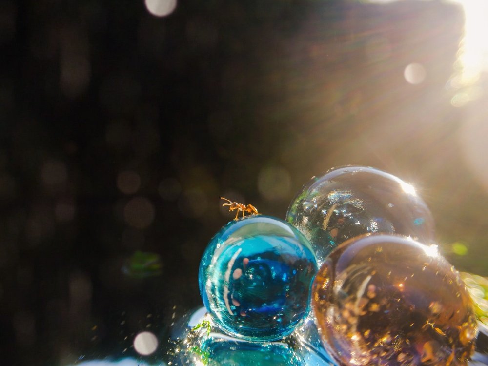 Photograph by Дарья Демина