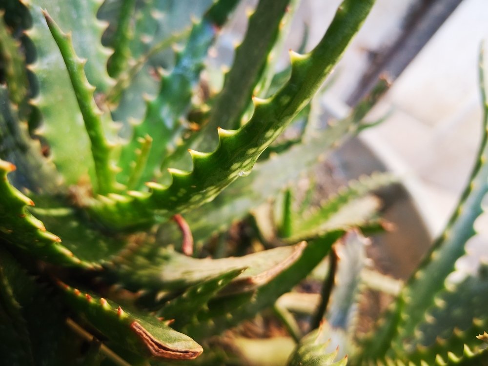 Photo #4571247