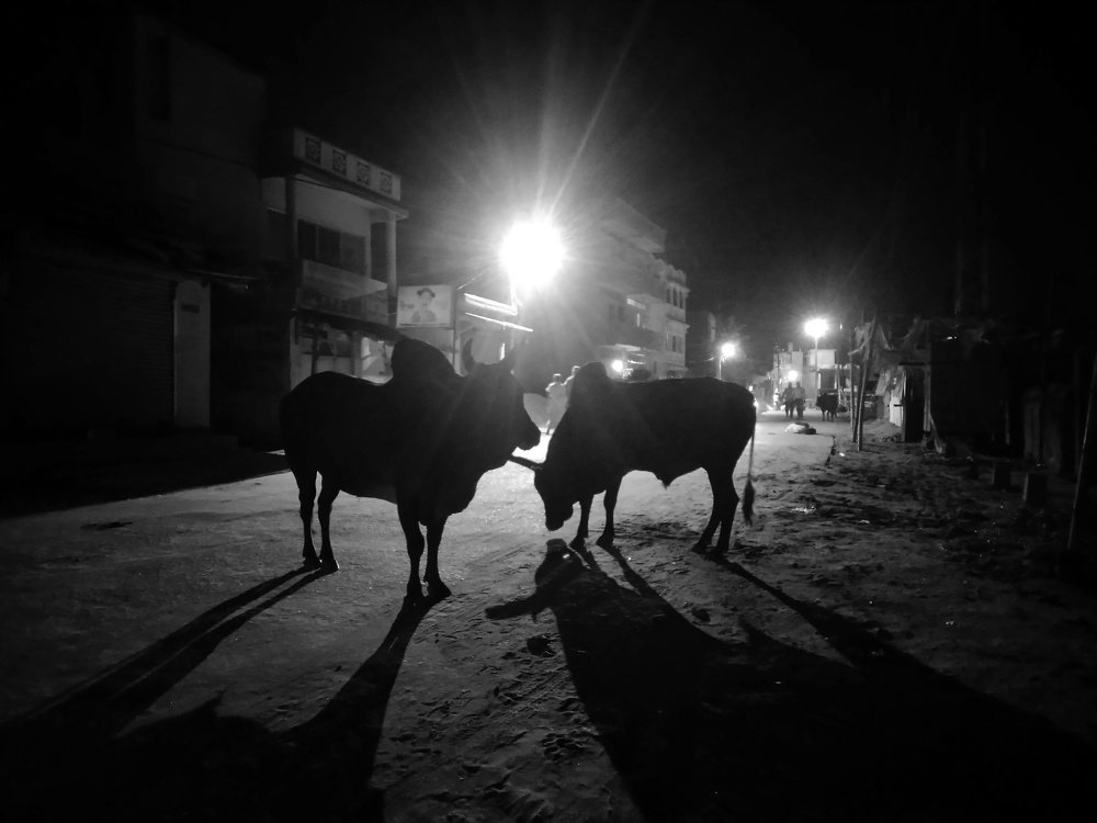 Photograph by Uttam
