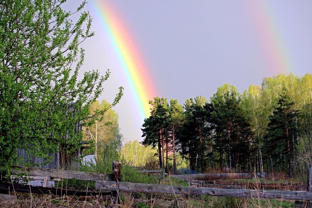 Photograph by Галина Мазур