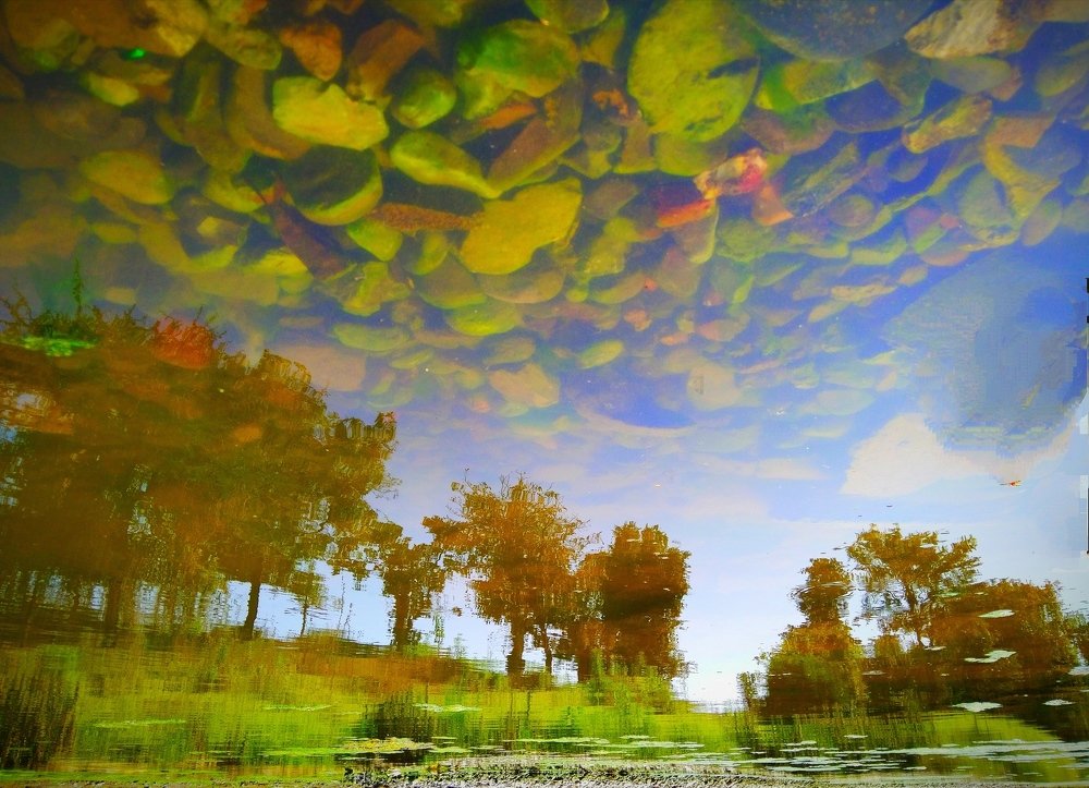 Фотография автора Parag Purkar