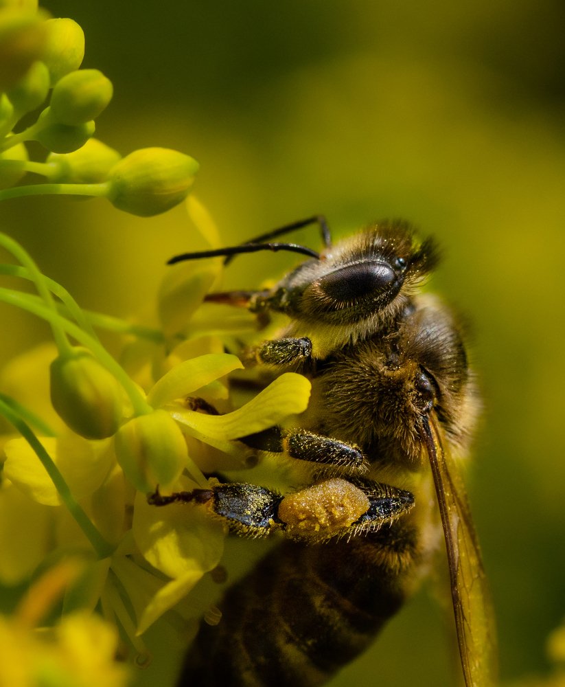 Фотография автора Константин Яковлев