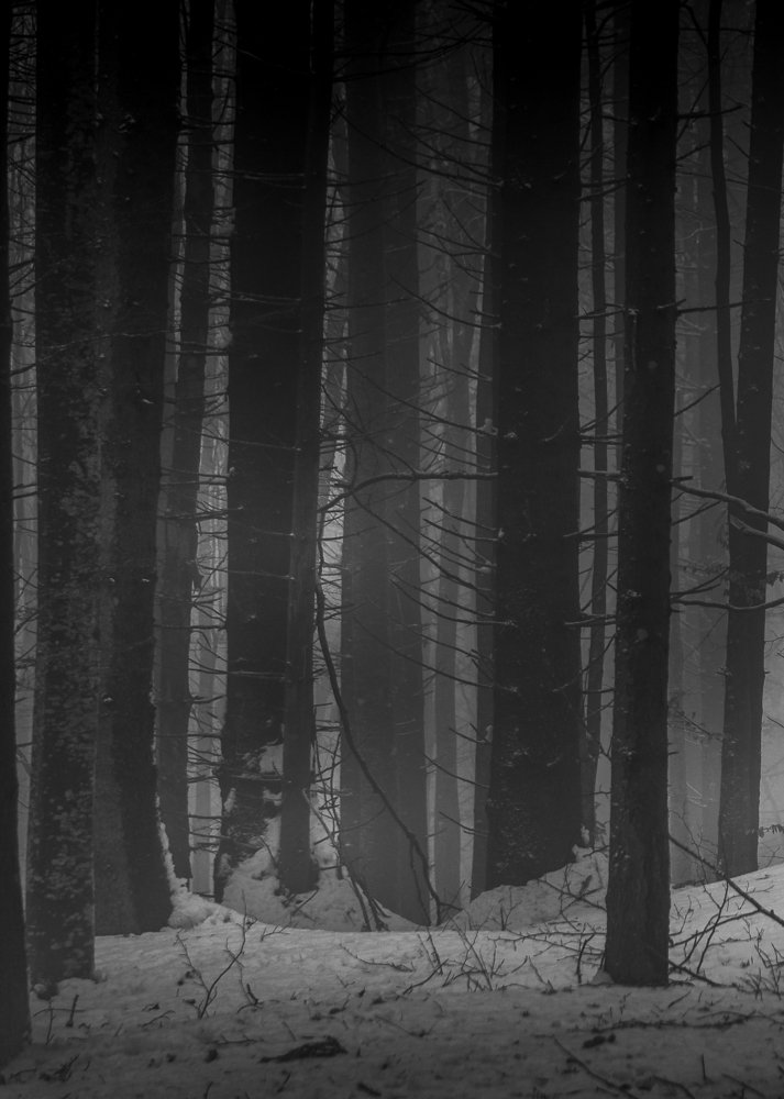 Photograph by Levente Zsolt Gal