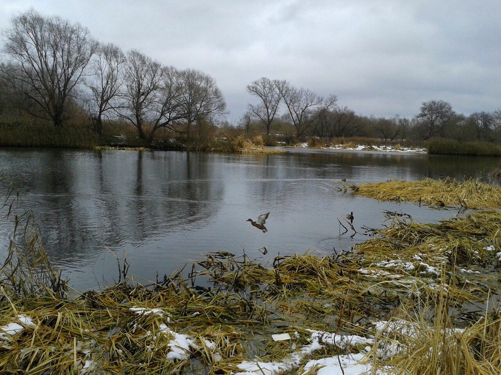 Photograph by Евгений Ерохин