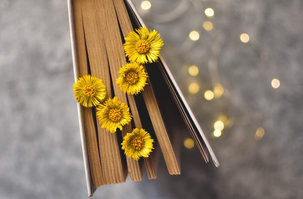 Photograph by Ксения Помогаева