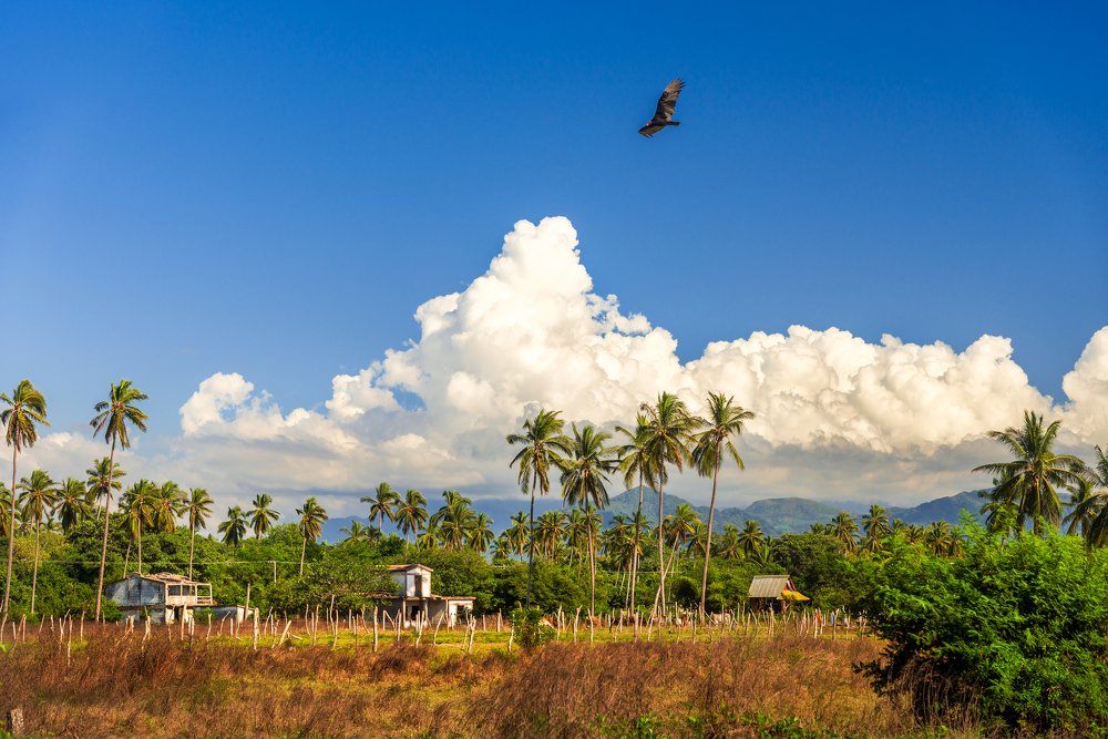 Photograph by Jonathan Jallet