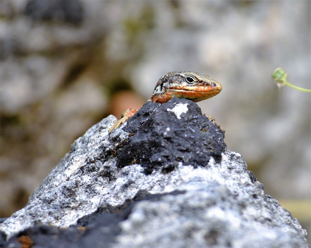 Photograph by Odysseas Christofides