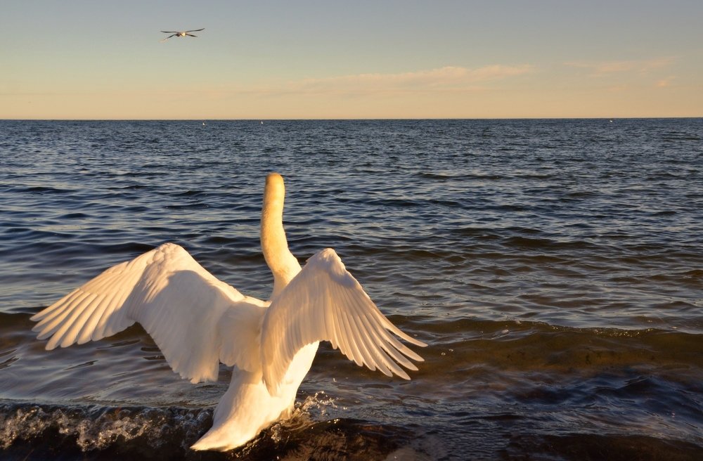 Photograph by Galina Baranovskaja