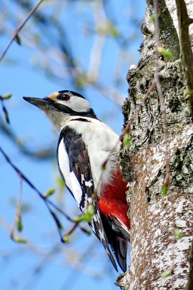 Photograph by Крылов Владимир