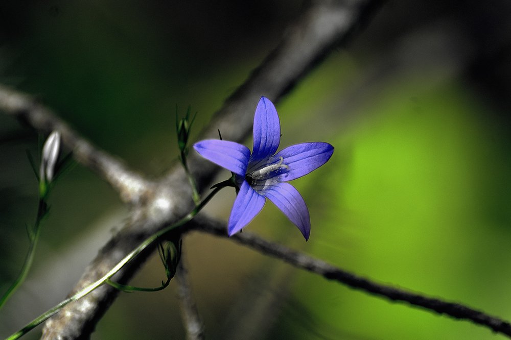 Фотография автора Игорь Иванов