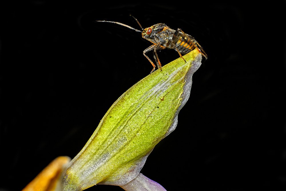 Фотография автора Игорь Иванов