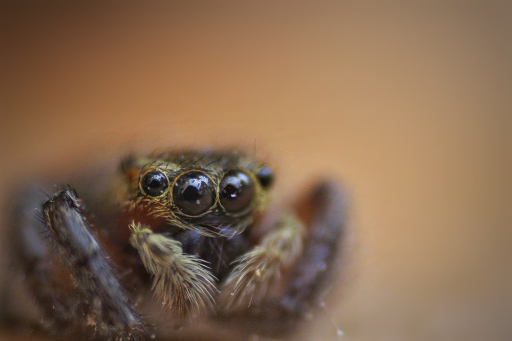 Photograph by Atul mehta