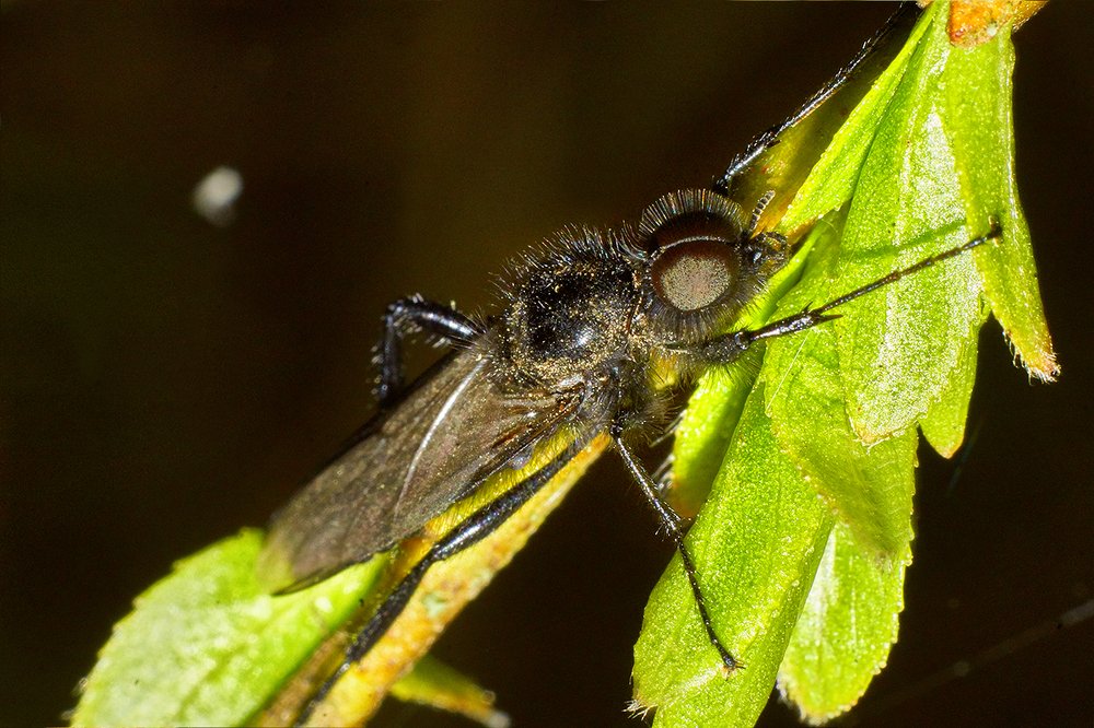 Фотография автора Игорь Иванов