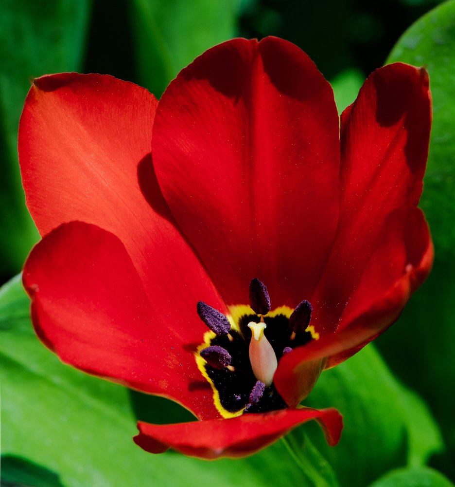 Photograph by Михаил Магид