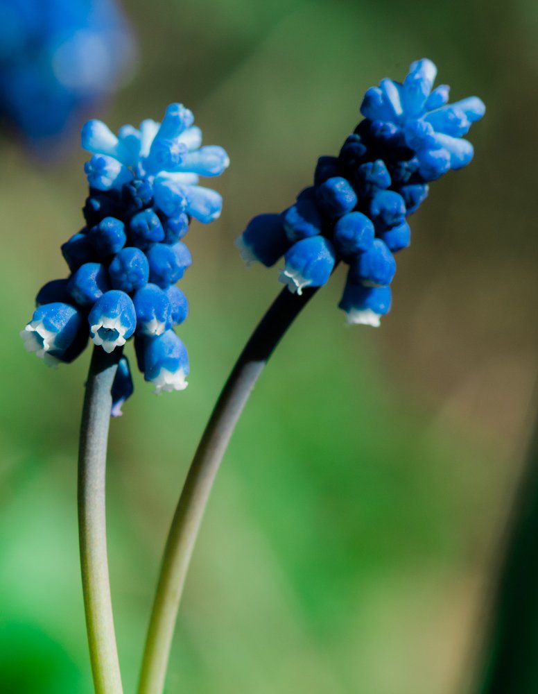 Photograph by Михаил Магид