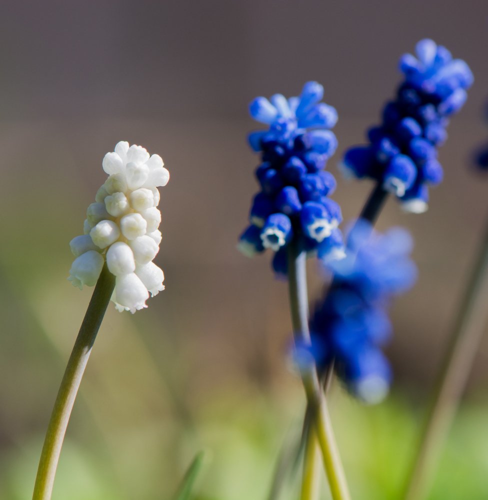 Photograph by Михаил Магид