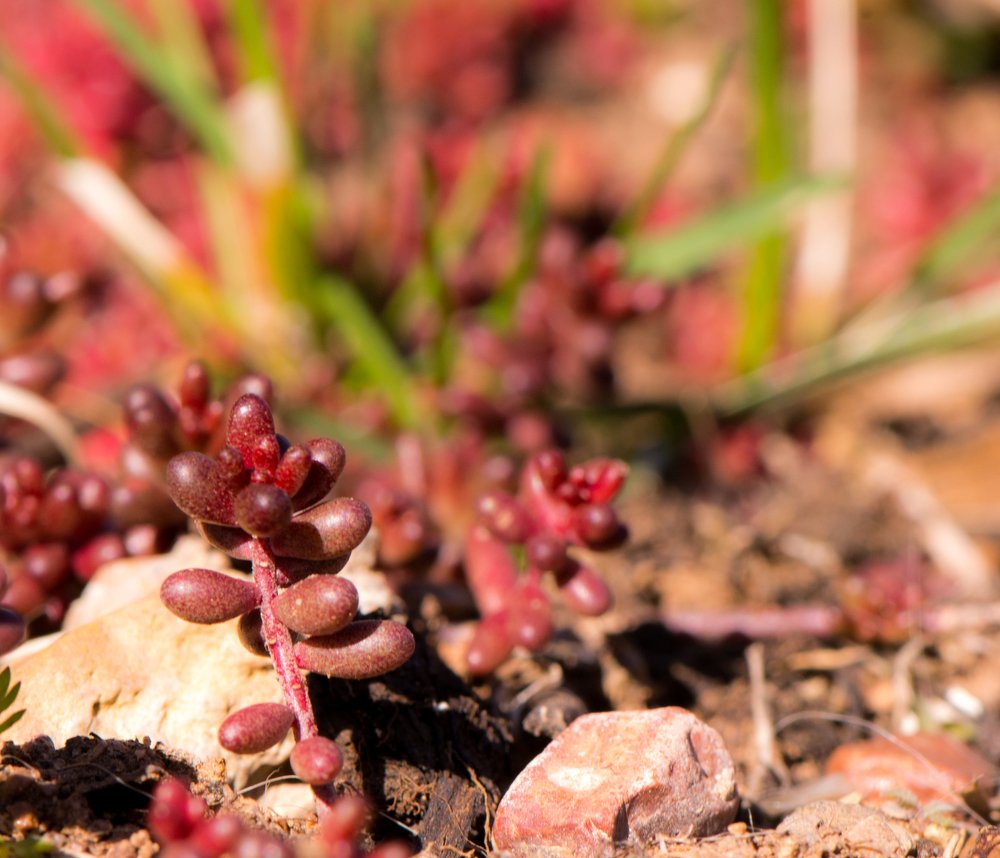 Photograph by Михаил Магид