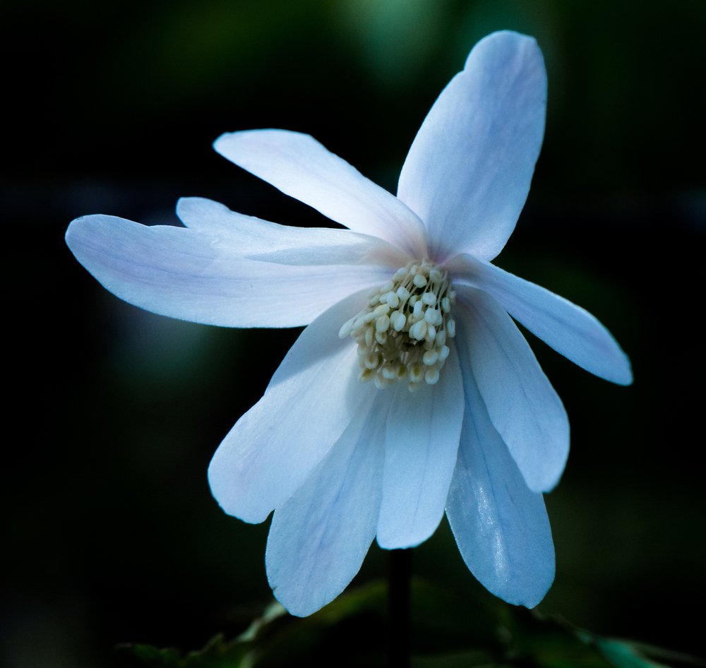 Photograph by Михаил Магид