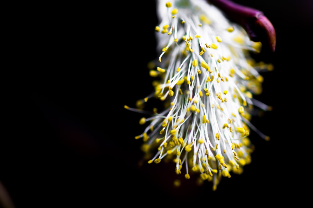 Photograph by Михаил Магид