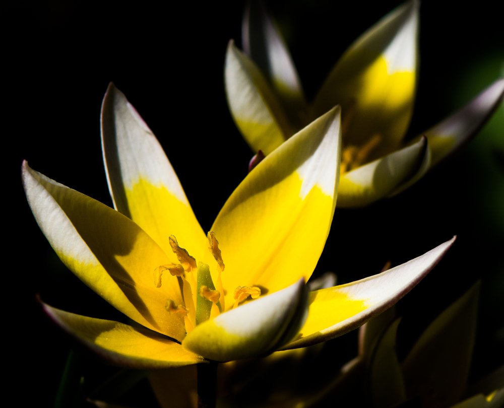 Photograph by Михаил Магид