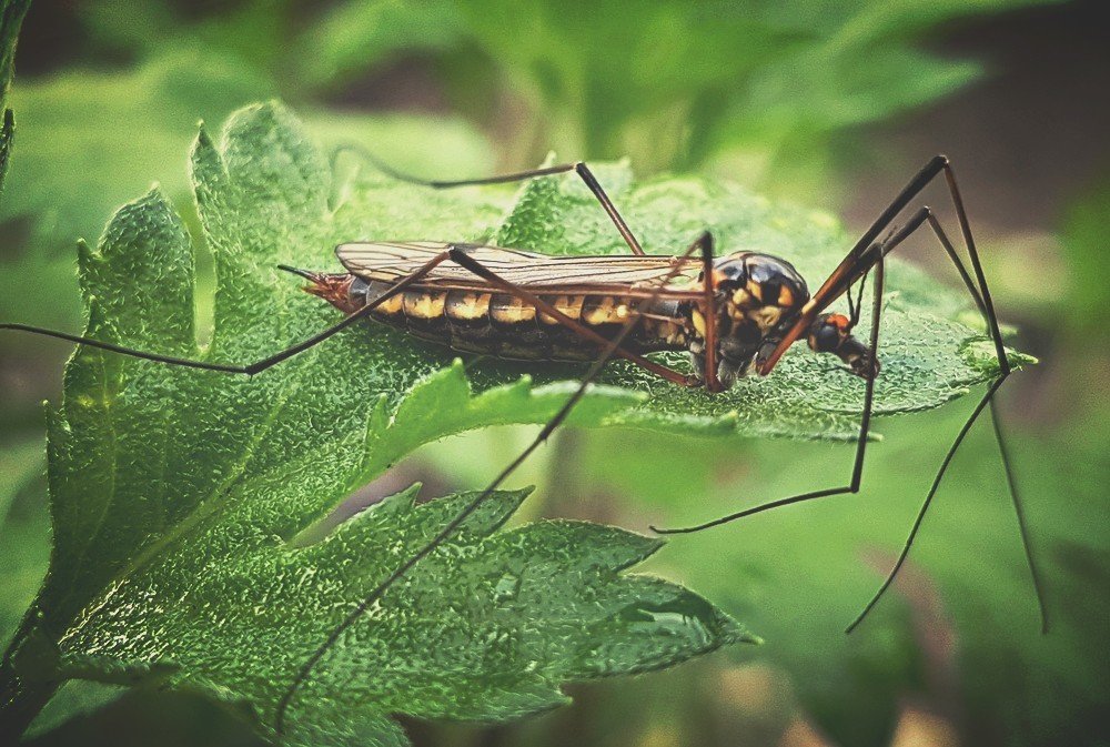 Photograph by Дмитрий Коршак