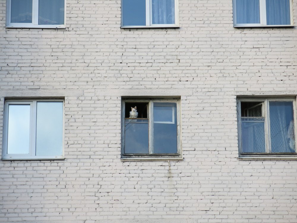 Photograph by ЭЛЬМИРА  ИСМАИЛОВА