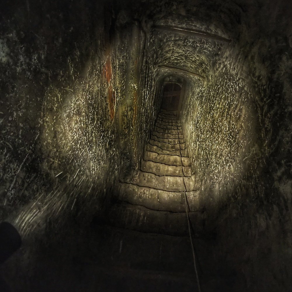 Photograph by Дмитрий Потапов