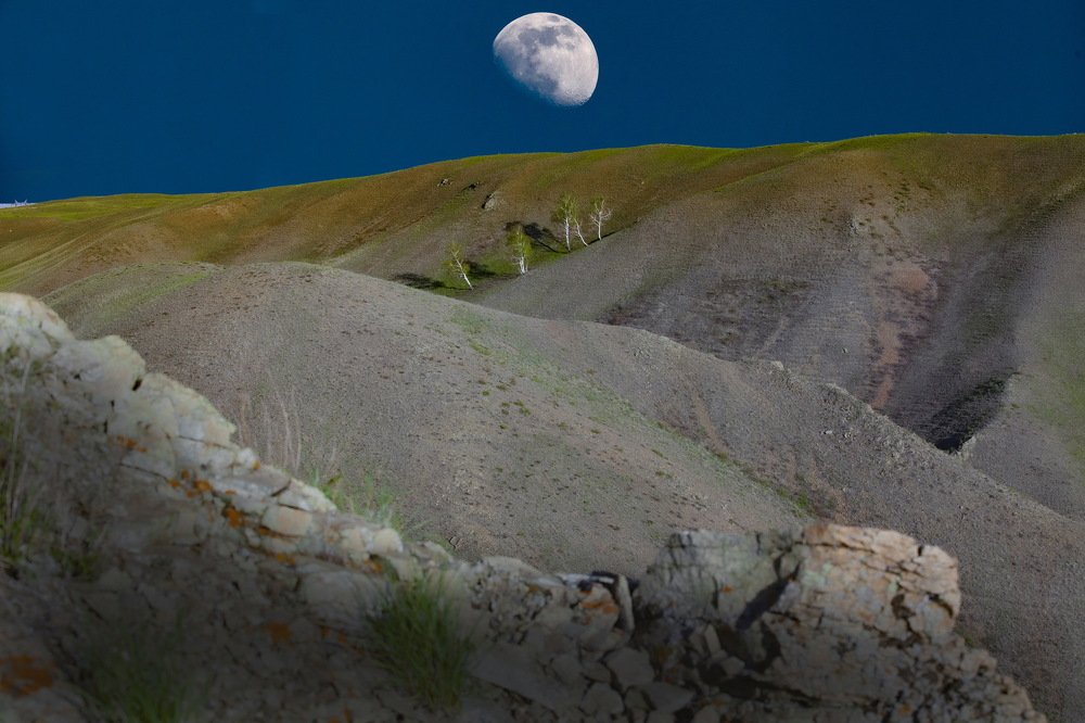 Photograph by петр чиков