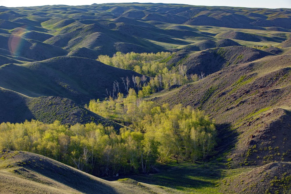 Photograph by петр чиков