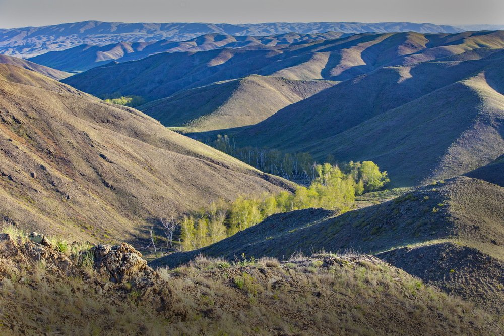 Photograph by петр чиков