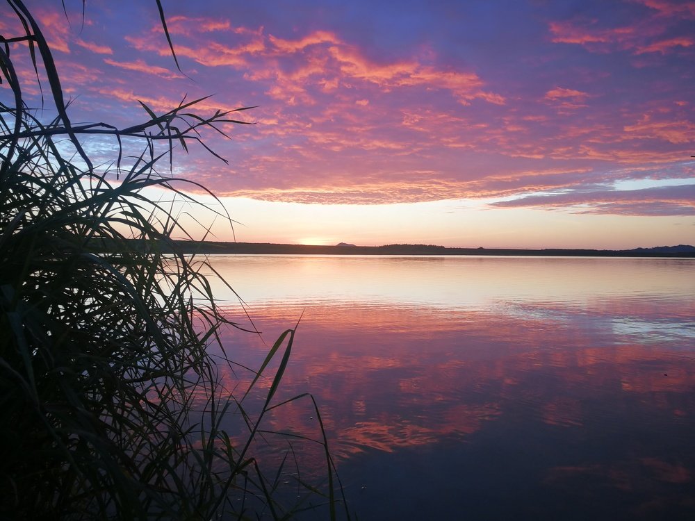 Photo #4572304