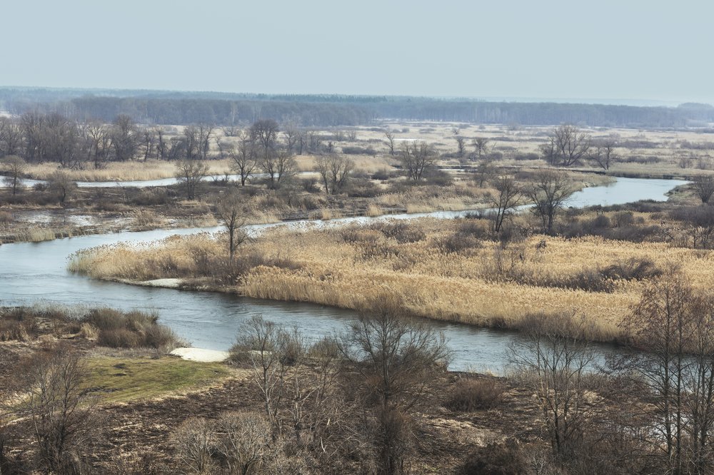 Photograph by Андрей Ляпин