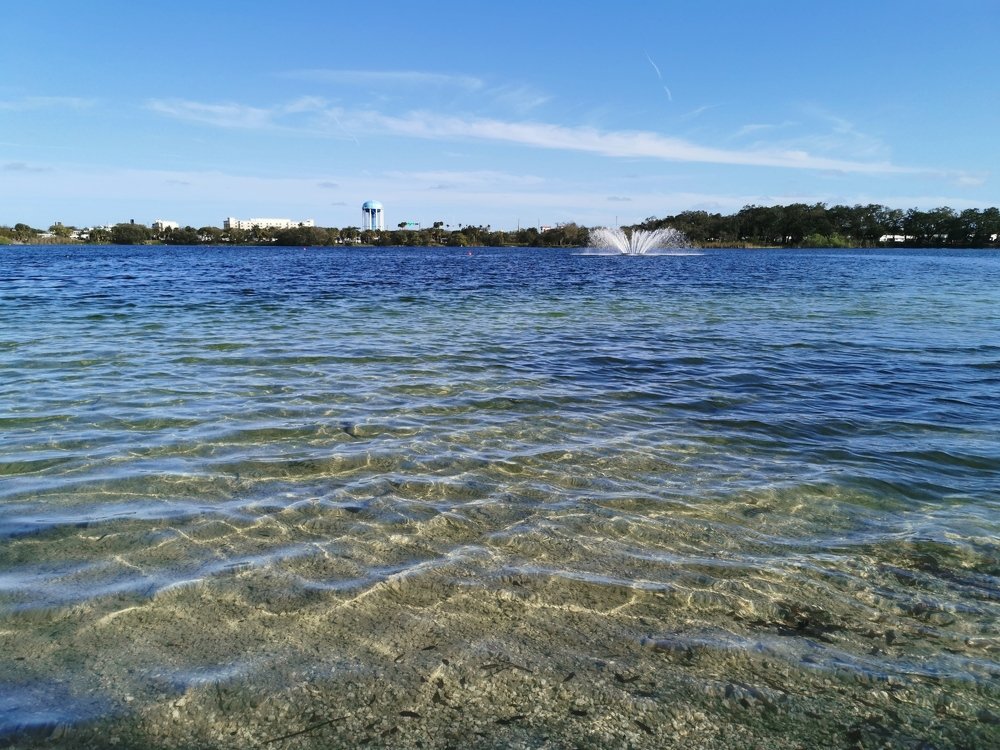 Photo #4572334