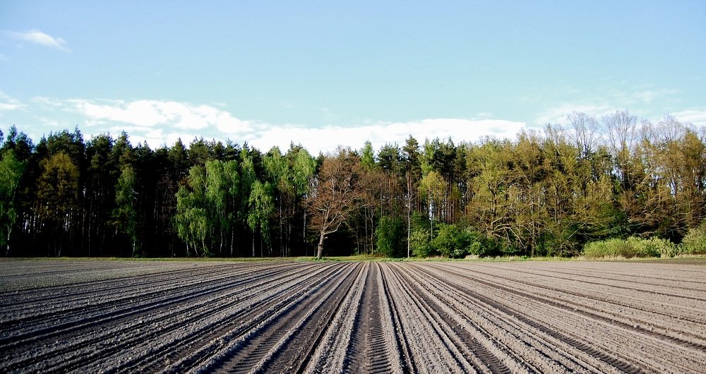 Фотография автора Artur