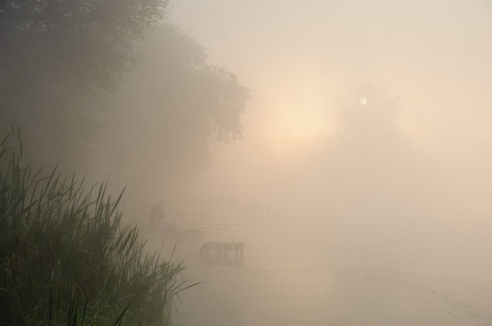 Туман рыбалке не помеха.