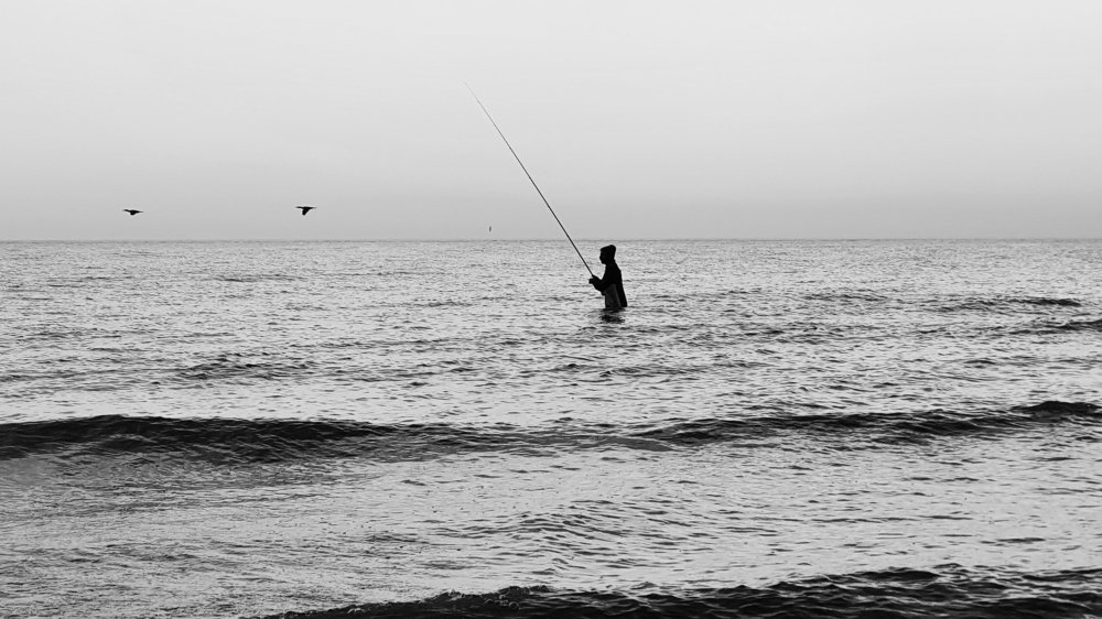 Photograph by Paria Tofangsaz