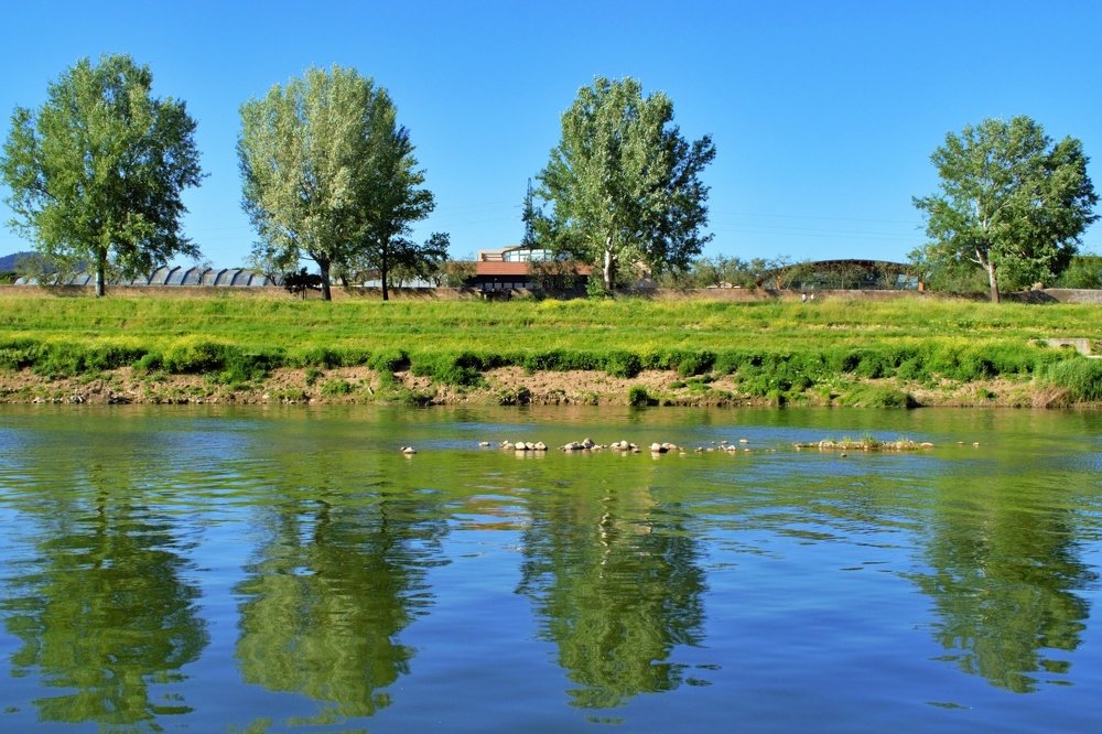 Photograph by SIMONE CIULLI